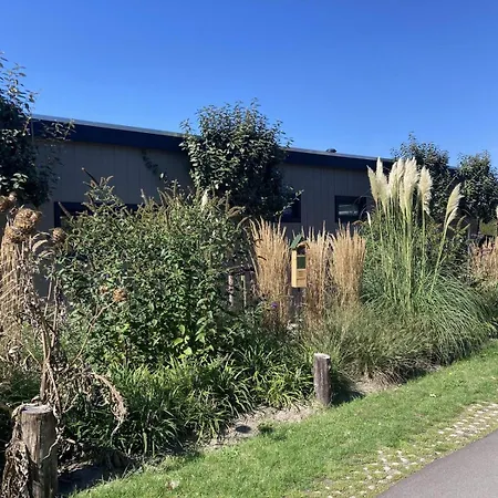 Oesterpad 56 - Het Oude Nieuwland Tatil Evi *